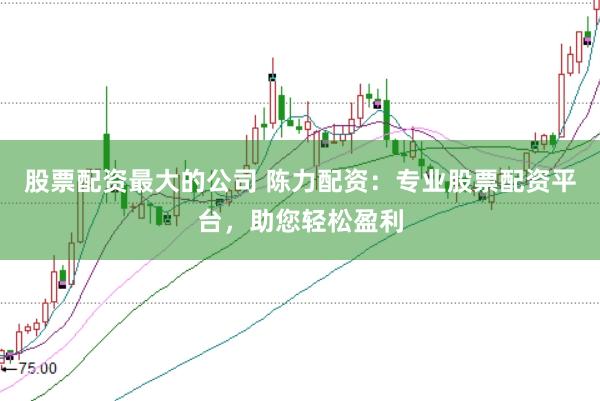 股票配资最大的公司 陈力配资:专业股票配资平台,助您轻松盈利