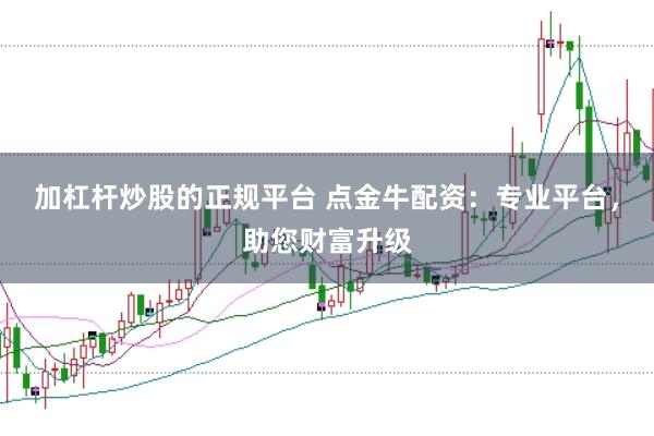 加杠杆炒股的正规平台 点金牛配资:专业平台,助您财富升级