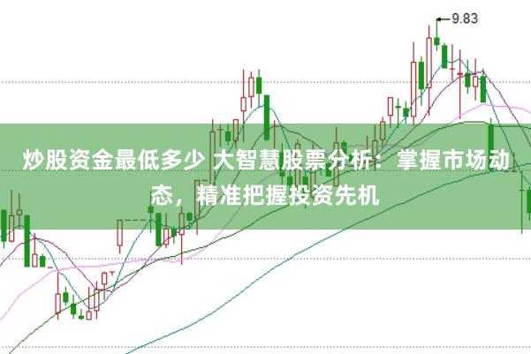 炒股资金最低多少 大智慧股票分析：掌握市场动态，精准把握投资先机