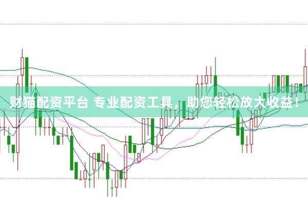 财猫配资平台 专业配资工具，助您轻松放大收益！